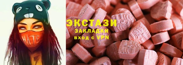 крисы Богородицк