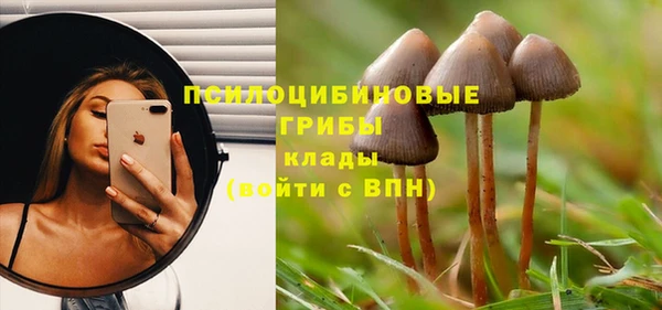 стаф Лагань