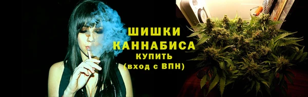 тгк Кукмор