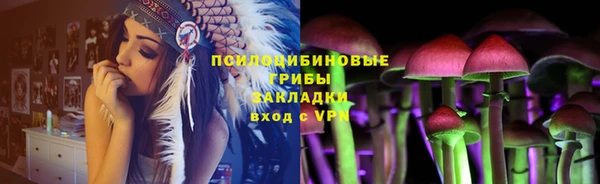 меф Ладушкин