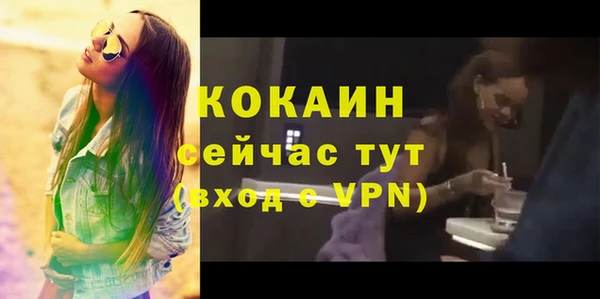 PSILOCYBIN Кулебаки