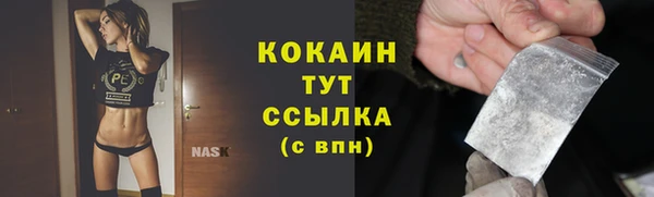 PSILOCYBIN Кулебаки
