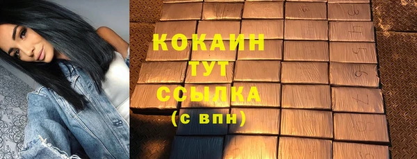 твердый Лабытнанги