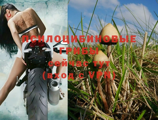 твердый Лабытнанги