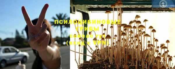 стаф Лагань