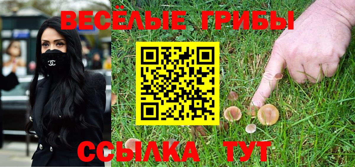 Кокаин Бийск