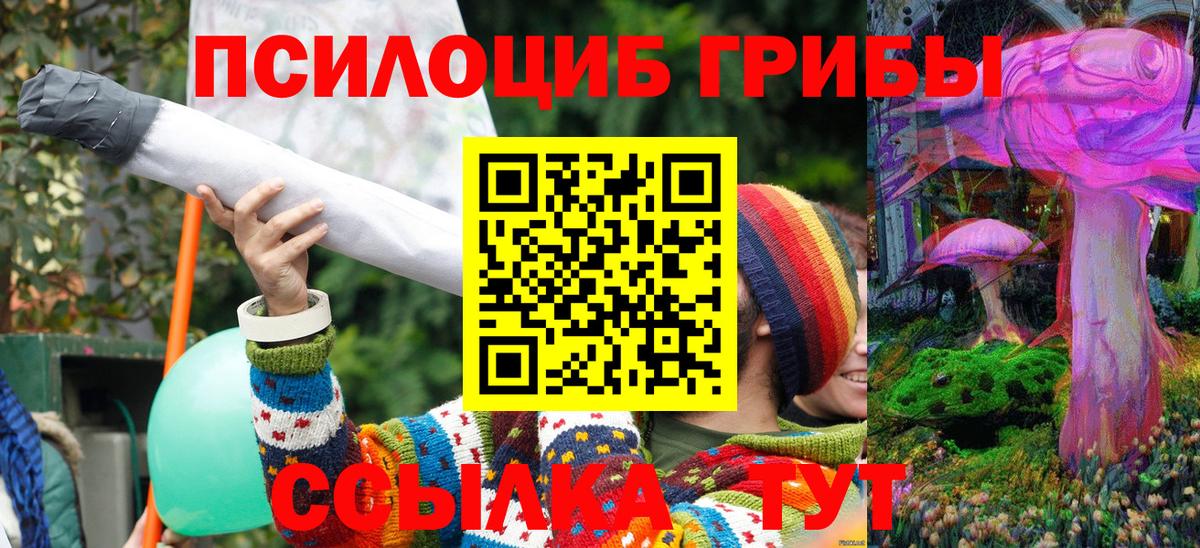 хочу наркоту  Бийск  Галлюциногенные грибы мицелий 