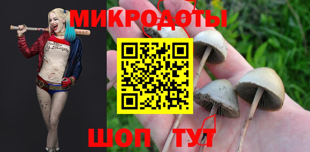Галлюциногенные грибы Magic Shrooms Бийск