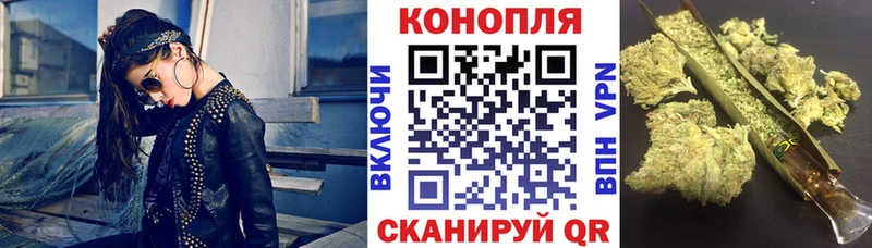 Бошки Шишки гибрид  где можно купить наркотик  Бийск 